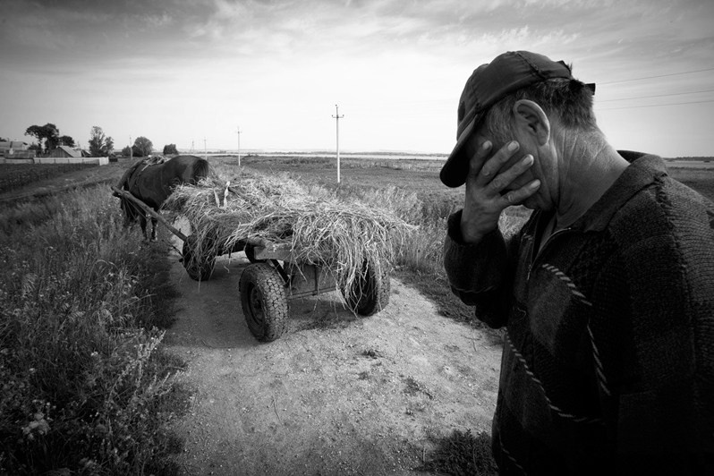 близ деревни Городище, Зеленодольский район, Татарстан, Россия. 2012