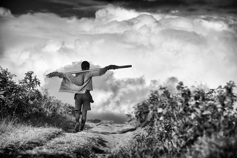 Tea grower walking towards the clouds, near Sahambavy, Lalangina district, Haute Matsiatra region, Fianarantsoa province, Republic of Madagascar. 2013
