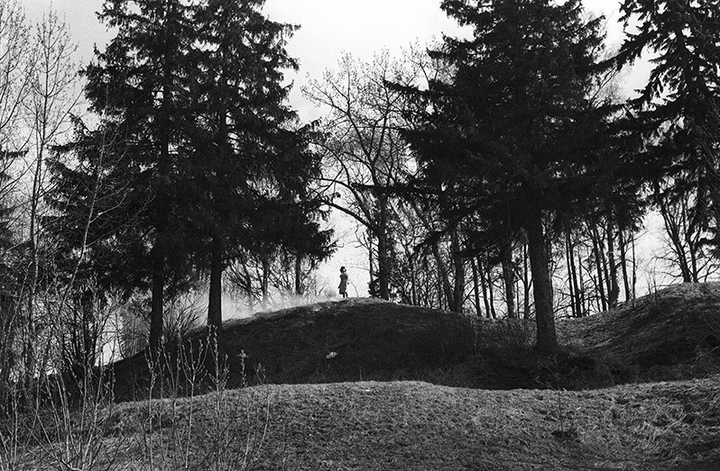 Last year's weed, Chukhloma, Kostroma region, Russian SFSR. May 1989