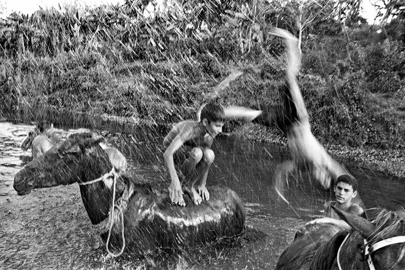 близ Куманаягуа, провинция Сьенфуэгос, Куба. 2003