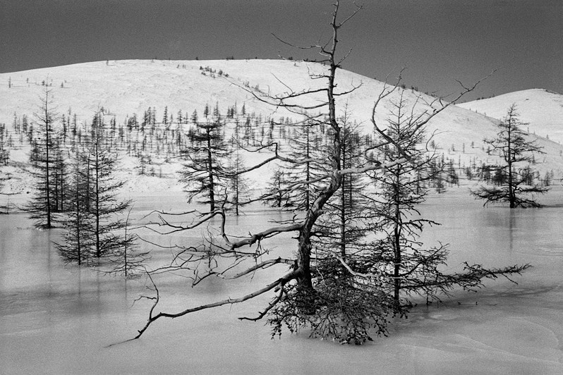 The valley of Myakit river, Magadan region, Russia. March 2015