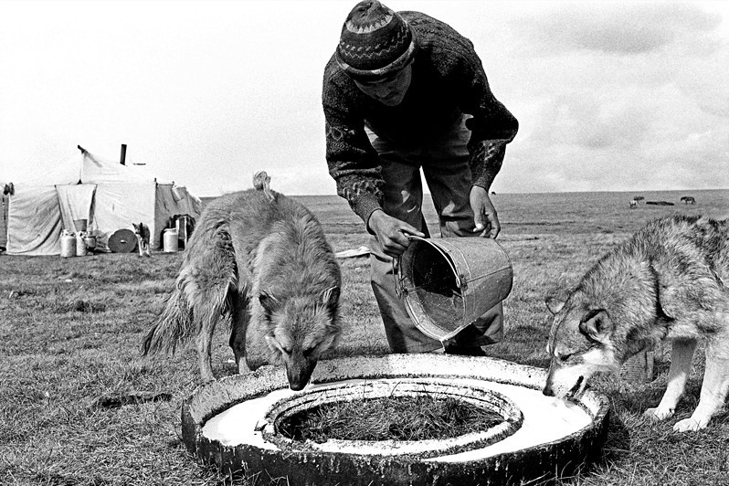 in the vicinity of Lake Song-Köl, Naryn region, Kyrgyzstan. September 2003