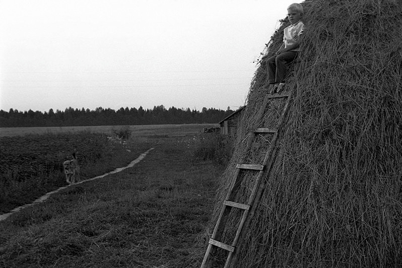 Haystack, Kostroma region, Russian SFSR. July 1989