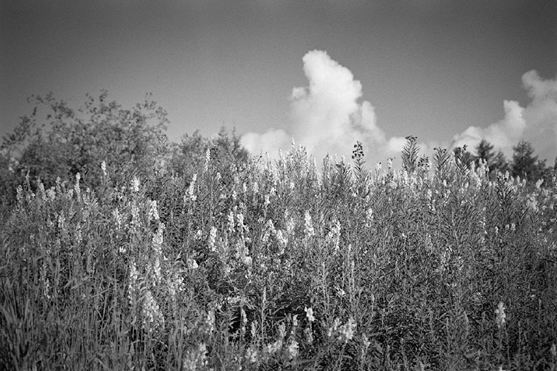 Belichya, the place where there was a hospital for prisoners, Belichya settlement (non-existent), Yagodinsky district, Magadan region, Russia. August 2014