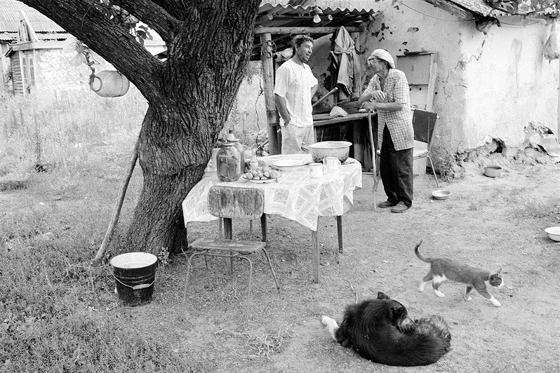 Chat in a courtyard, Sekretiov khutor, Oblivsky district, Rostov-on-Don region, Russia. July 2010