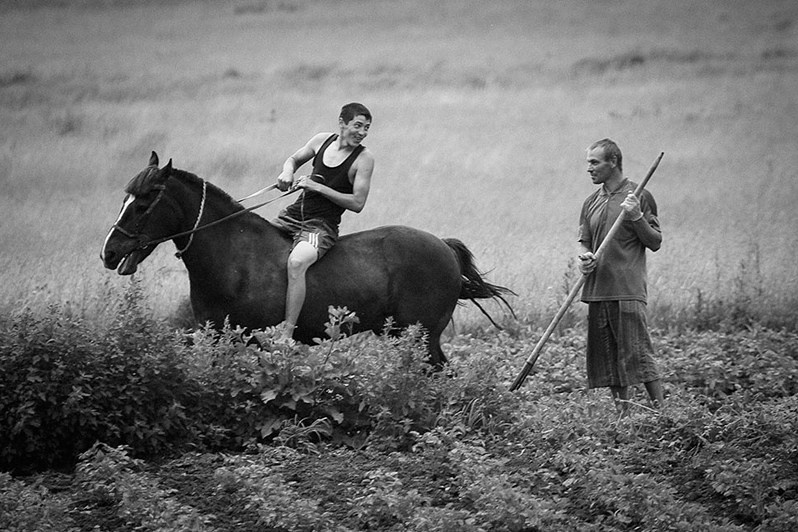 Встреча приятелей в поле, близ села Молькеево, Кайбицкий район, Татарстан, Россия. 2015