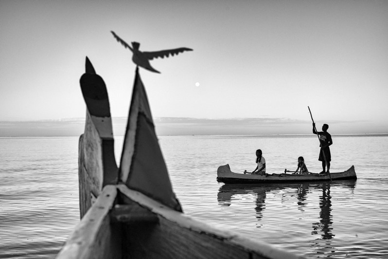 The flight to the sea, Mangily, Ifaty beach near Tulear, Atsimo-Andrefana region, Toliara province, Republic of Madagascar. 2020