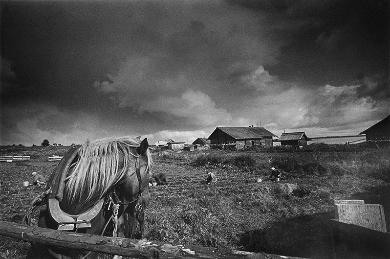 Landscape with a horse, Karelian ASSR. 1981