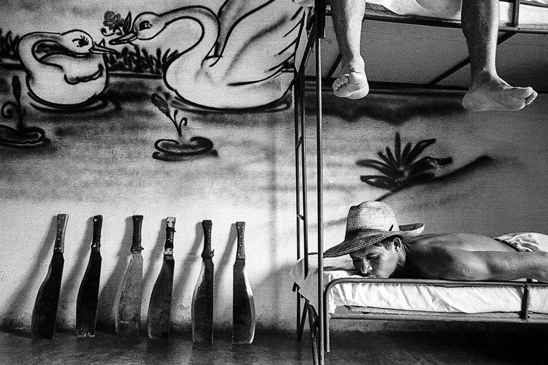 Артемиса, Куба. 2002