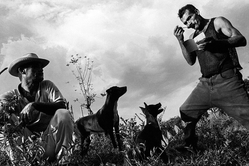 близ Куманаягуа, провинция Сьенфуэгос, Куба. 2001