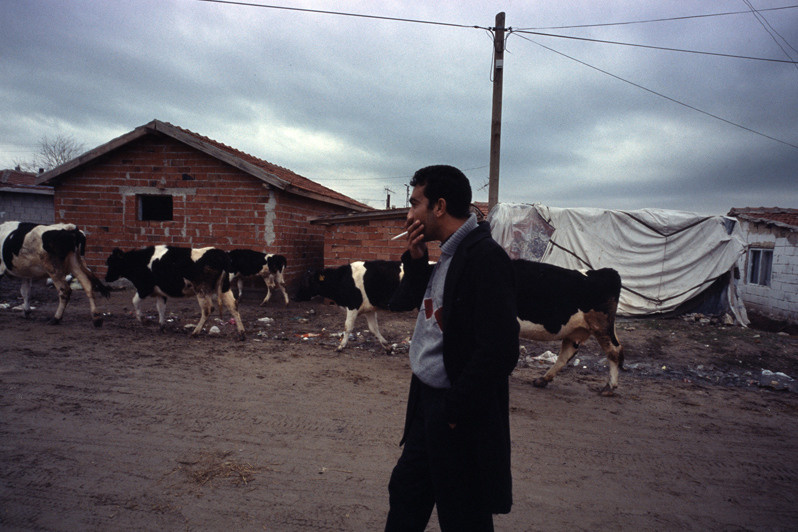 Kirklareli region, Turkey. January 2010
