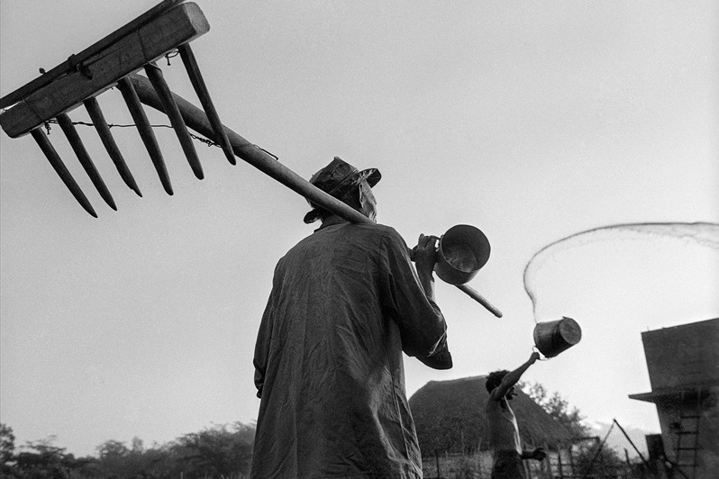 Санто-Томас, регион Сьенага-де-Сапата, провинция Матансас, Куба. 2000