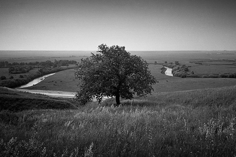 Излучина речки Кубни, близ деревни Паново, Зеленодольский район, Татарстан, Россия. 1984