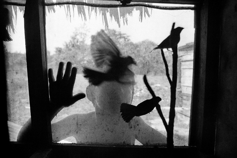 Виньялес, провинция Пинар-дель-Рио, Куба. 2007