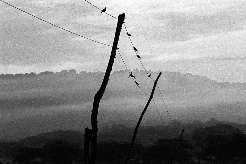 близ Арройо-Хондо, провинция Гуантанамо, Куба. 2006