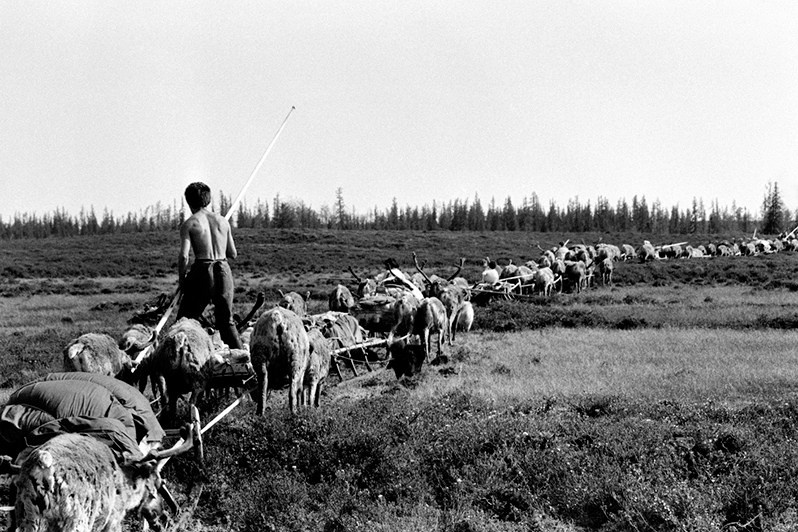 Alexander Shchemliaev / Non-Soviet Photo Part 1. Noga Creative Union