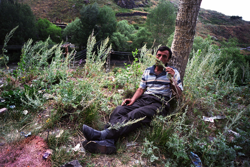 Kars region, Turkey. June 2011
