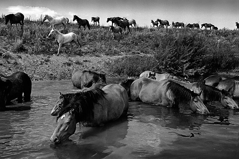 Июль - Жара - Полдень, близ деревни Паново, Зеленодольский район, Татарстан, Россия. 1984