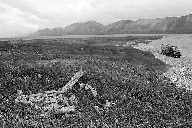 Fossils, Ystigetskaya kosa, Chukotka, Russia. September 2007