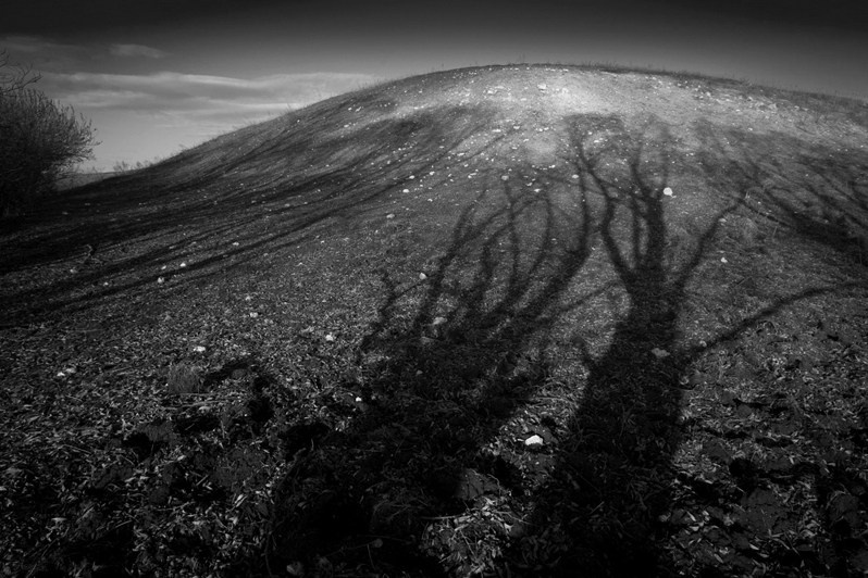 Тени на высоком берегу, близ села Малое Подберезье, Кайбицкий район, Татарстан, Россия. 2015