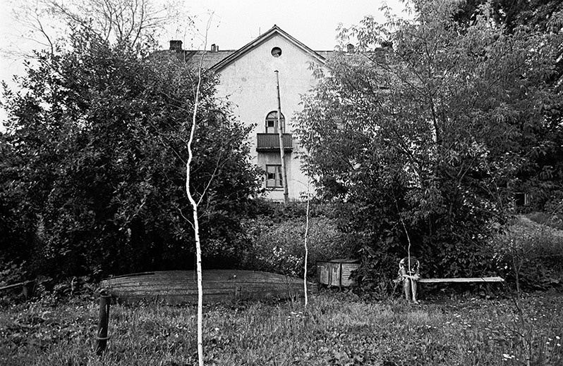 Three birches, Yaroslavl region, Russian SFSR. July 1983