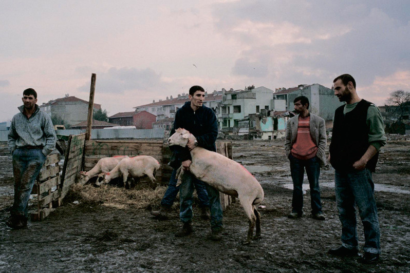 Istanbul region, Turkey. December 2008