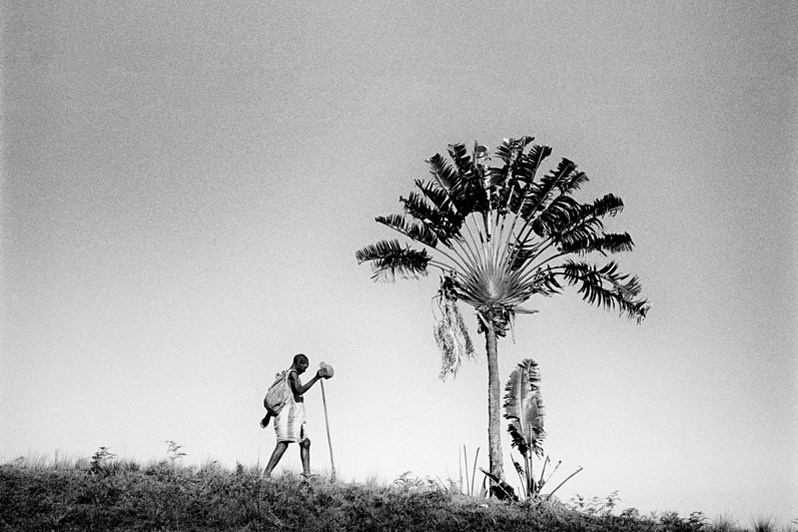 The traveller and the traveller's tree, near Dressed for fishing, Manakara, Vatovavy-Fitovinany region, Fianarantsoa province, Republic of Madagascar. 2018