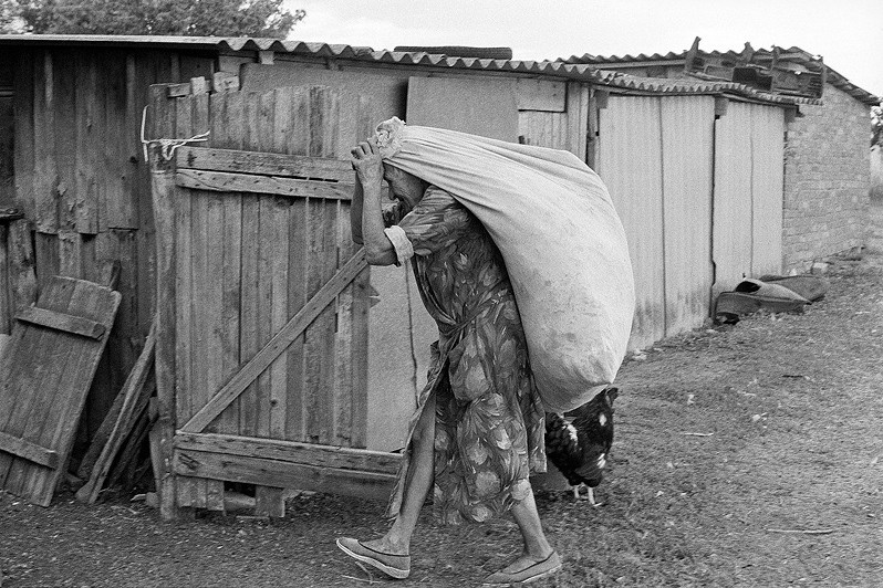 Bag of hay for livestock, Senshin khutor, Oblivsky district, Rostov-on-Don region, Russia. July 2010