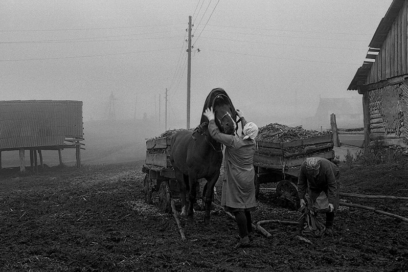 Рабочее утро, деревня Паново, Зеленодольский район, Татарстан, Россия. 1984