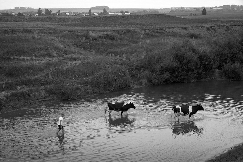 Через Кубню вброд, Кайбицкий район, Татарстан, Россия. 2015