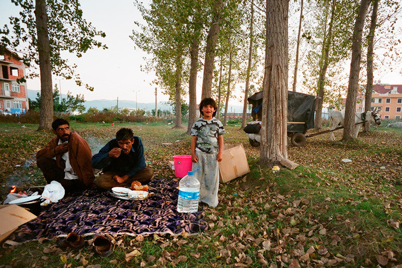 Kocaeli region, Turkey. July 2010