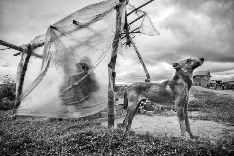 'I can see you taking our picture!', Ambalakely, Fianarantsoa II district, Haute Matsiatra region, Fianarantsoa province, Republic of Madagascar. 2015