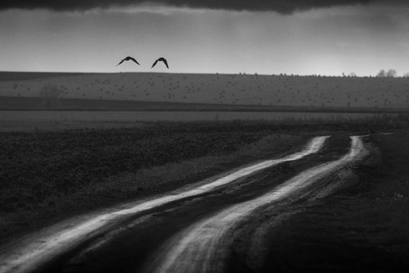 Полевая дорога близ деревни Татарское Танаево, Зеленодольский район, Татарстан, Россия. 2016