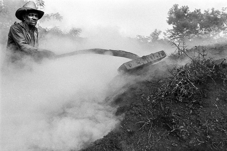 Санто-Томас, регион Сьенага-де-Сапата, провинция Матансас, Куба. 1999