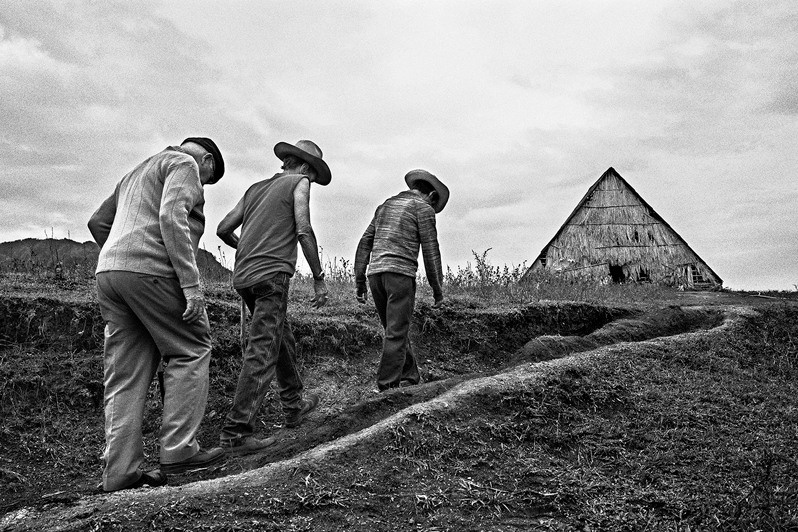 Виньялес, провинция Пинар-дель-Рио, Куба. 2008