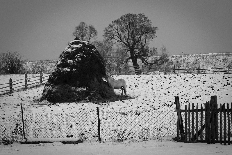 Поздняя осень, деревня Яманово, Канашский район, Чувашия, Россия. 2016