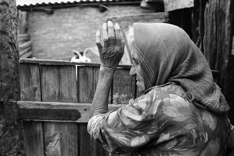 Near the shelter for house cattle, Senshin khutor, Oblivsky district, Rostov-on-Don region, Russia. July 2010