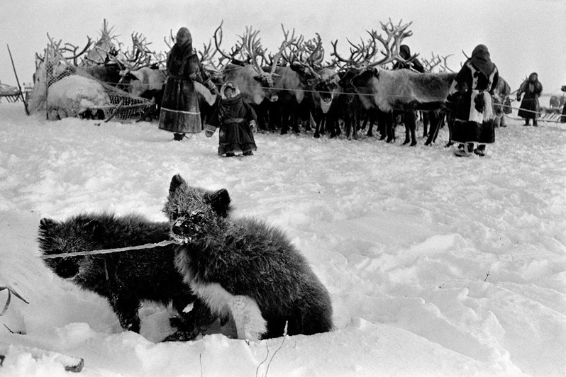 Александр Щемляев / Ямал: НеСоветское фото. Часть 1. Творческий союз Нога
