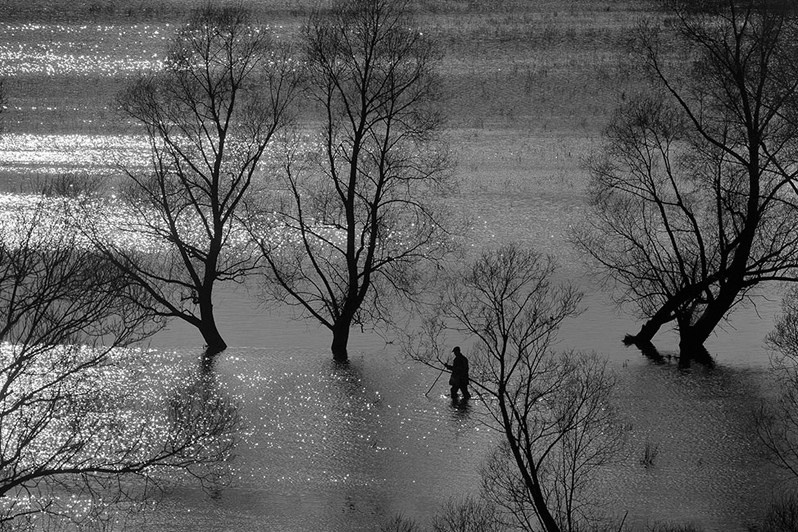 Половодье на Кубне, близ села Малое Подберезье, Кайбицкий район, Татарстан, Россия. 2016