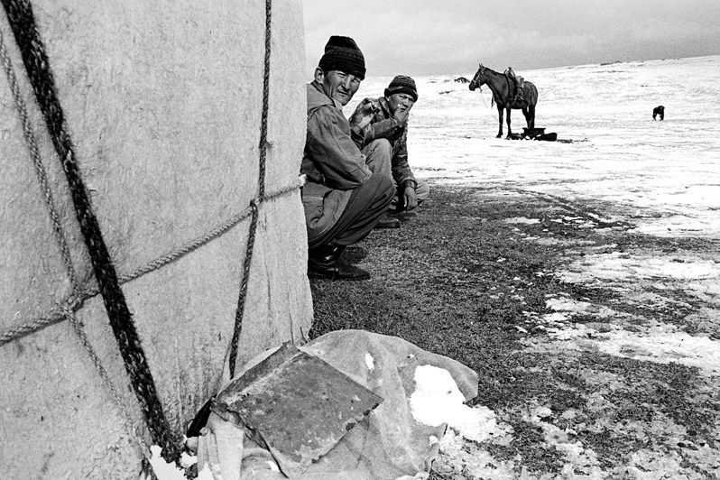 in the vicinity of Lake Song-Köl, Naryn region, Kyrgyzstan. September 2003