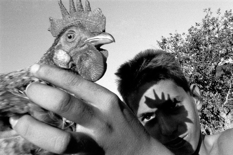 Виньялес, провинция Пинар-дель-Рио, Куба. 2003