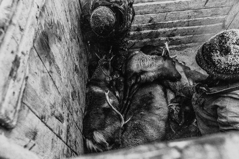 Stadukhino settlement, Bilibinsky district, Chukotka Autonomous Okrug, Russia. November 2013