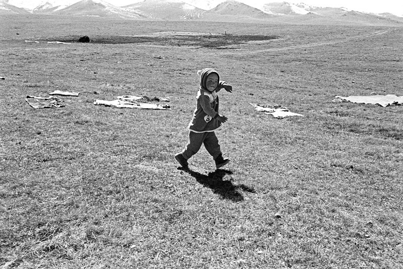 in the vicinity of Lake Song-Köl, Naryn region, Kyrgyzstan. September 2003