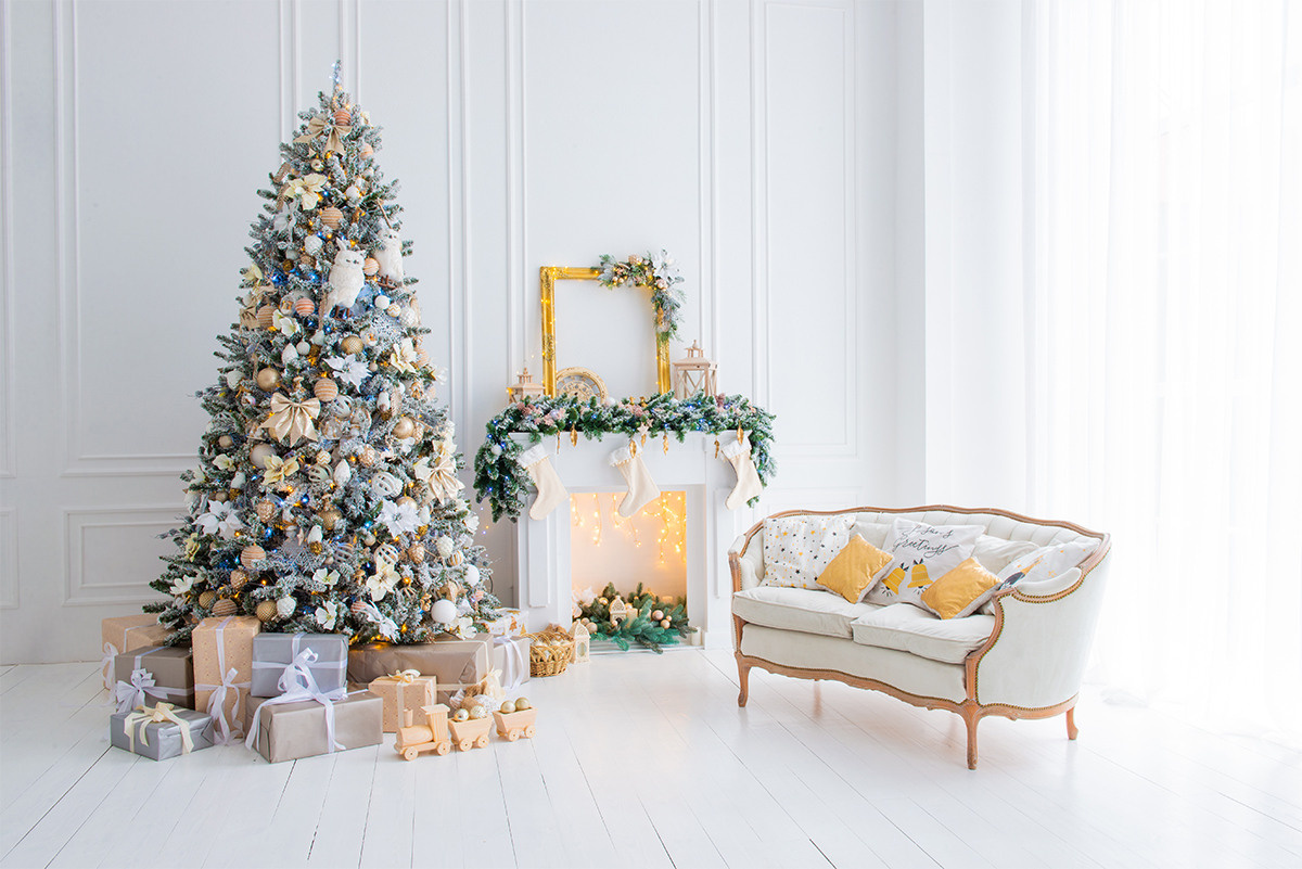 Фотостудія Vision studio