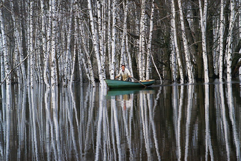 © Александр Сорин