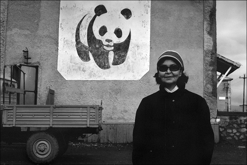 "WWF", settlement of Lorino, Chukotka, Russia, September 2007