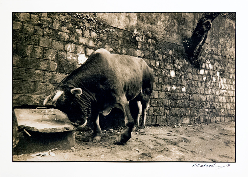 India. Dreaming of Varanasi. Misha Maslennikov. Documentary photography. Odessa