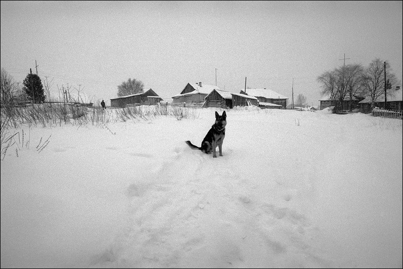 "Volchok", village of Pogost, Pudozh district, Karelia, Russia, January 2009