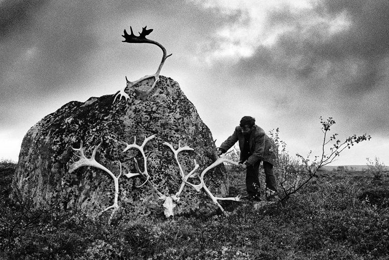 © Александр Степаненко