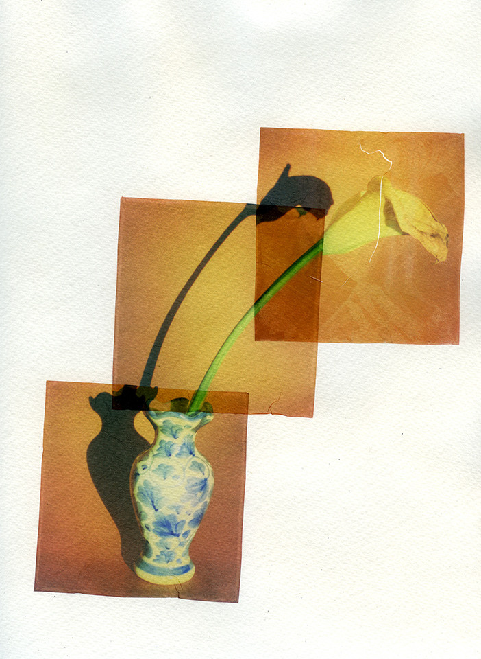 PhotoTOP Still Life 2022. Миша Масленников. Документальная фотография. Одесса